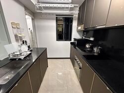 Normanton Park (D5), Apartment #608338701